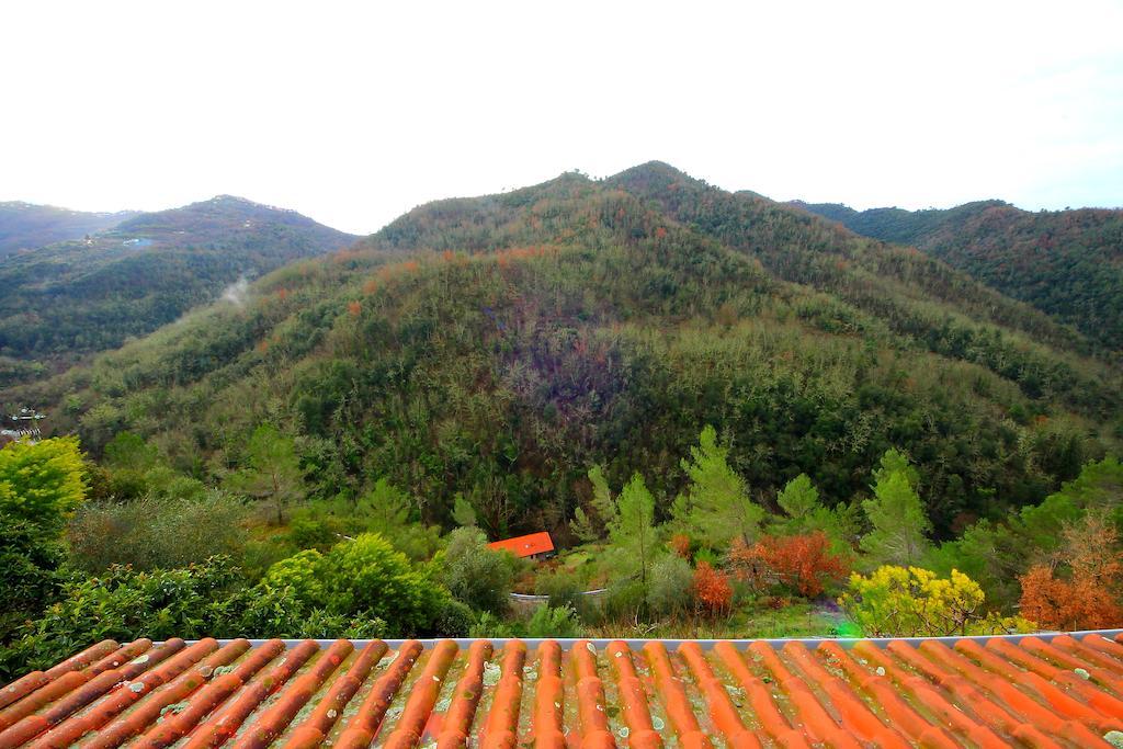 La Favorita Apricale B&B & Ristorante Bilik gambar